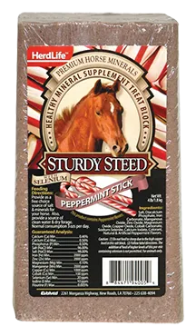 Sturdy Steed Mineral Brick 4lb