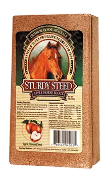 Sturdy Steed Mineral Brick 4lb